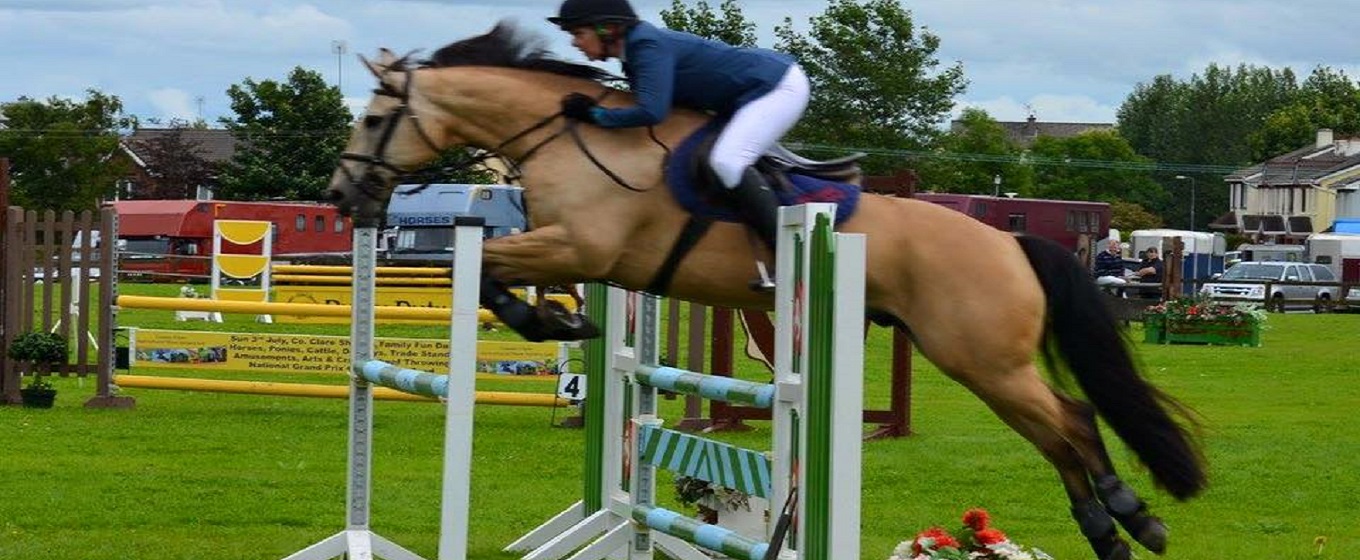 Equestrian Centre in Cork Equestrian Centre in Cork
