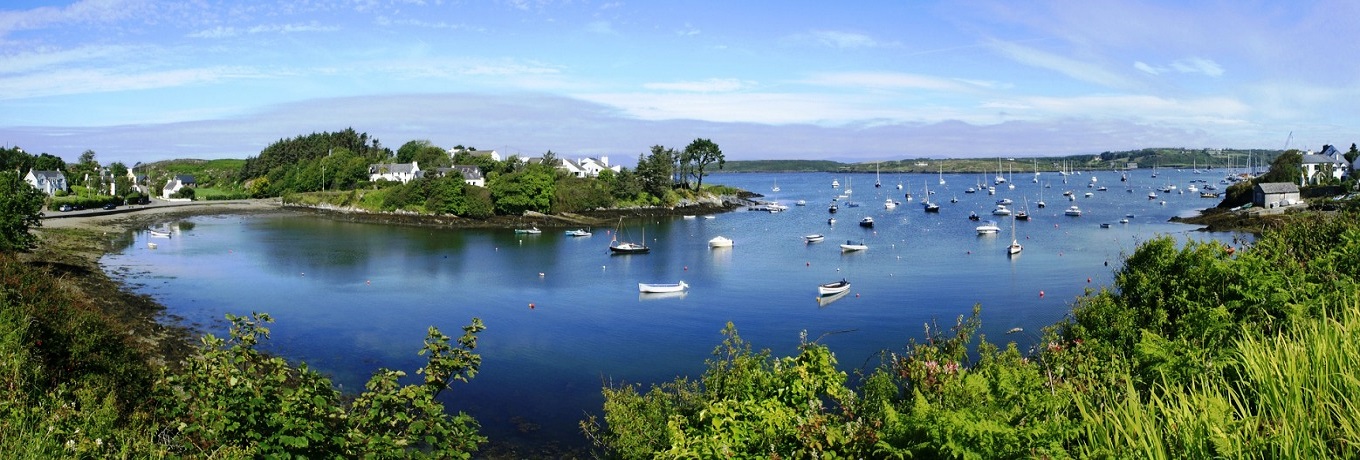 What's On In Cork